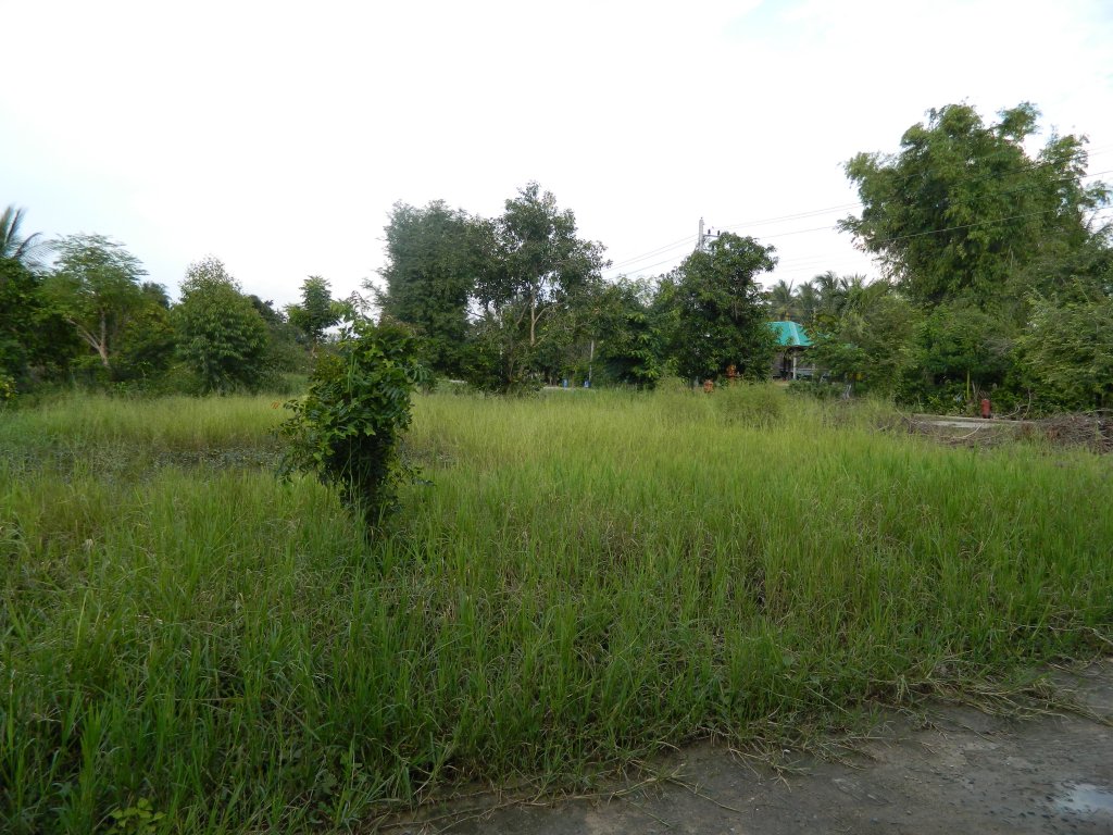 Koh Chang 2015 089.JPG