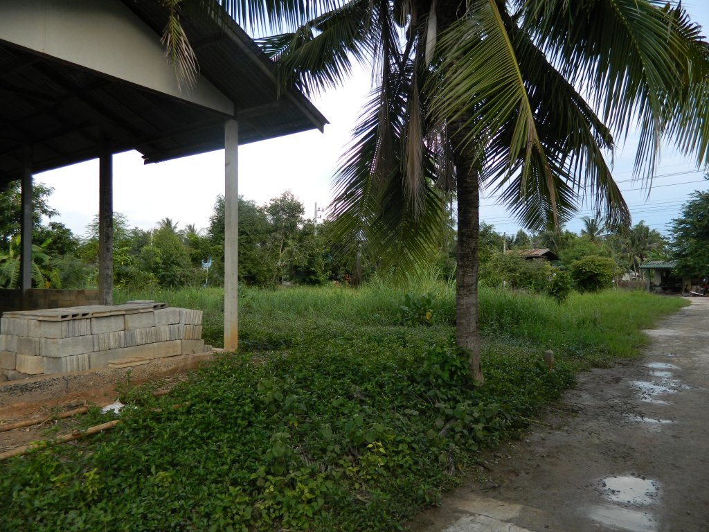 Koh Chang 2015 091.JPG