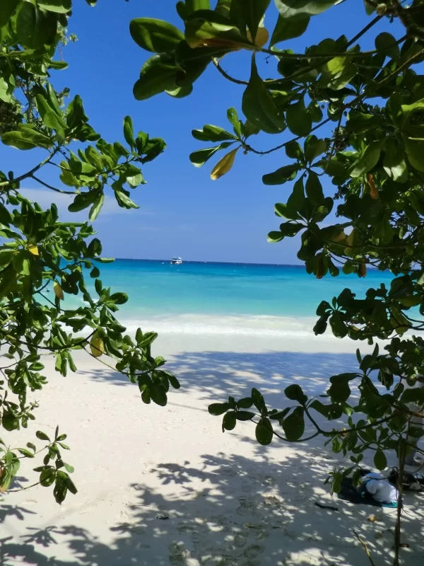 koh_tachai_02.webp