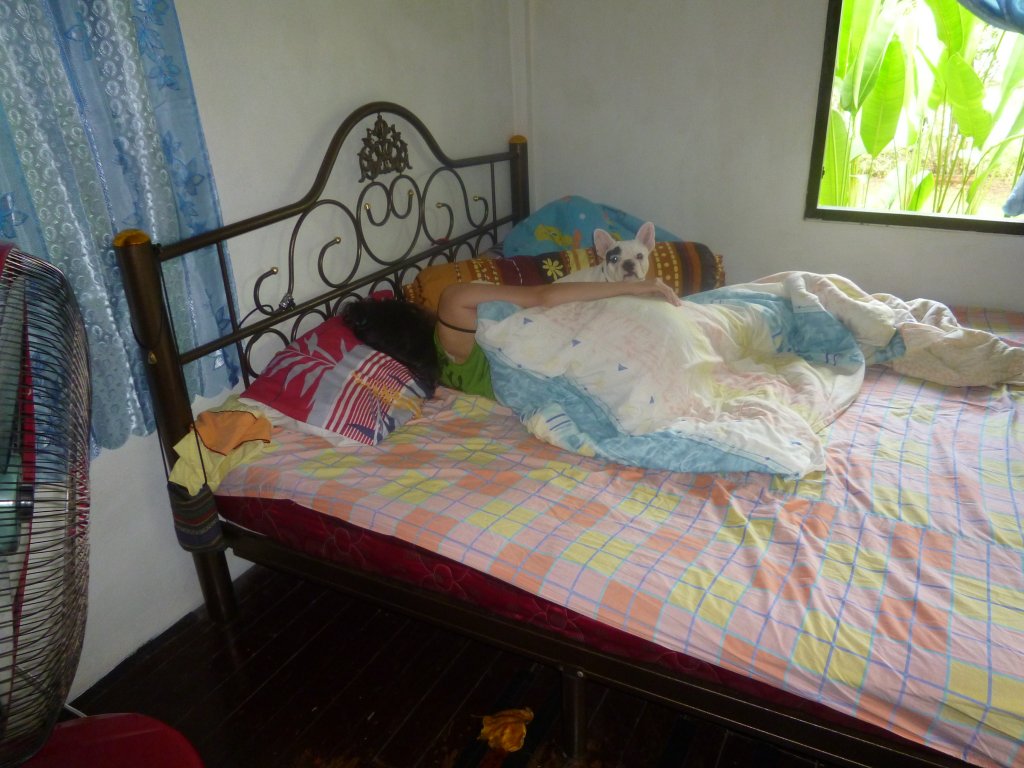koy 001.JPG