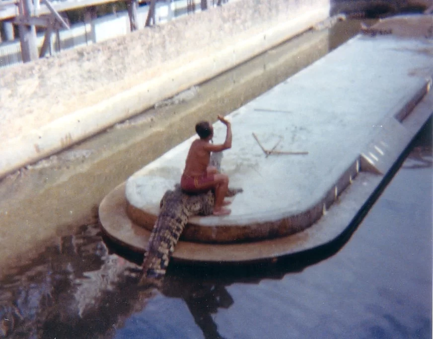 krokodil farmen (3).webp