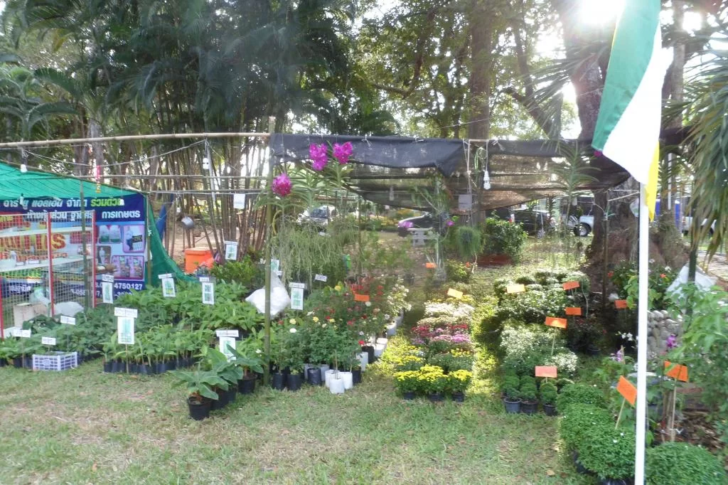 Lantbruk-skola 017.webp