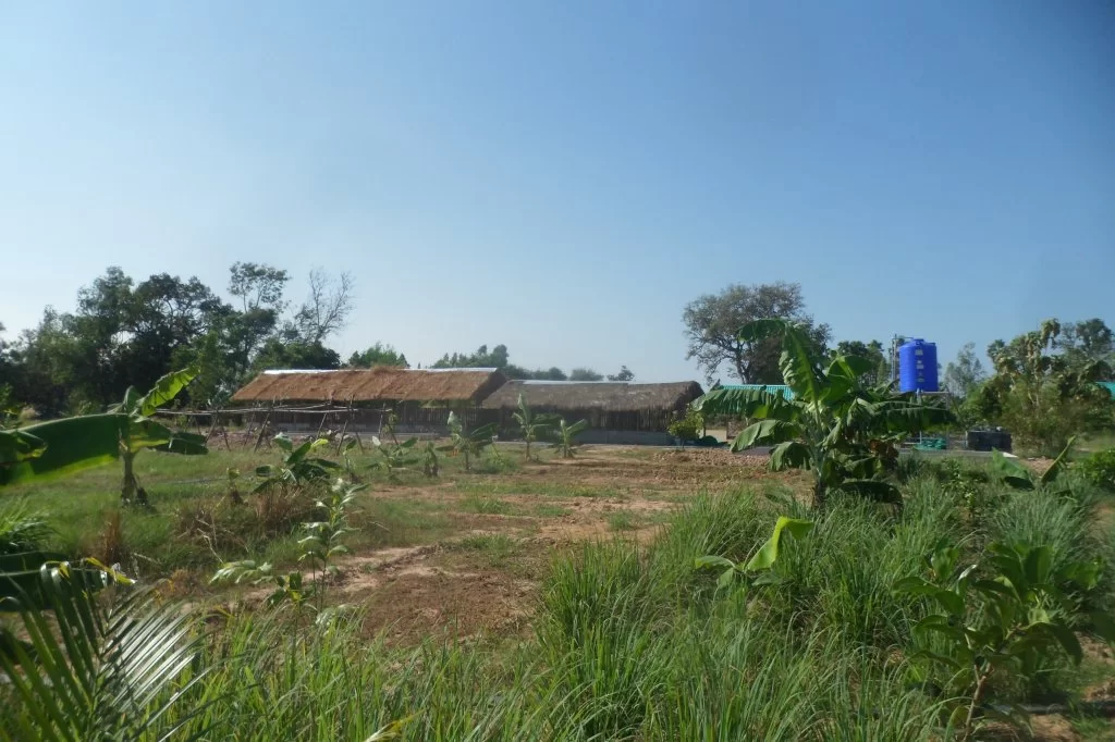 Last tringel 018.webp