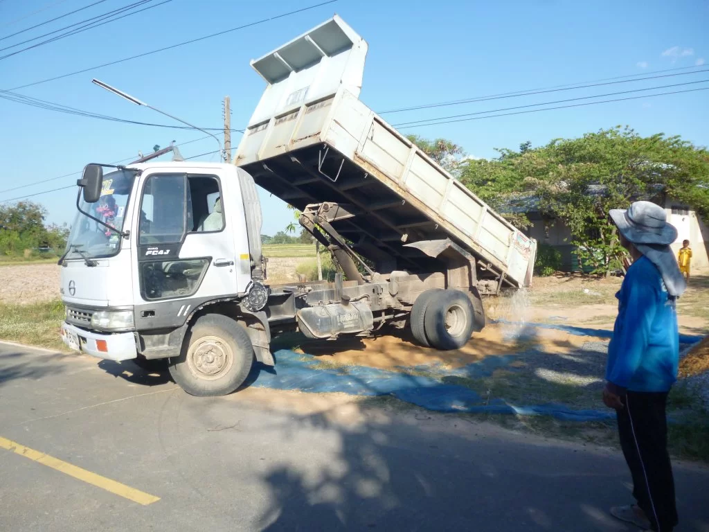 Linser Tono 030.webp