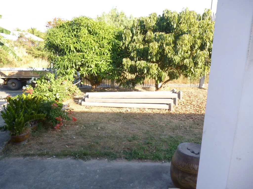 Linser Tono 033.webp