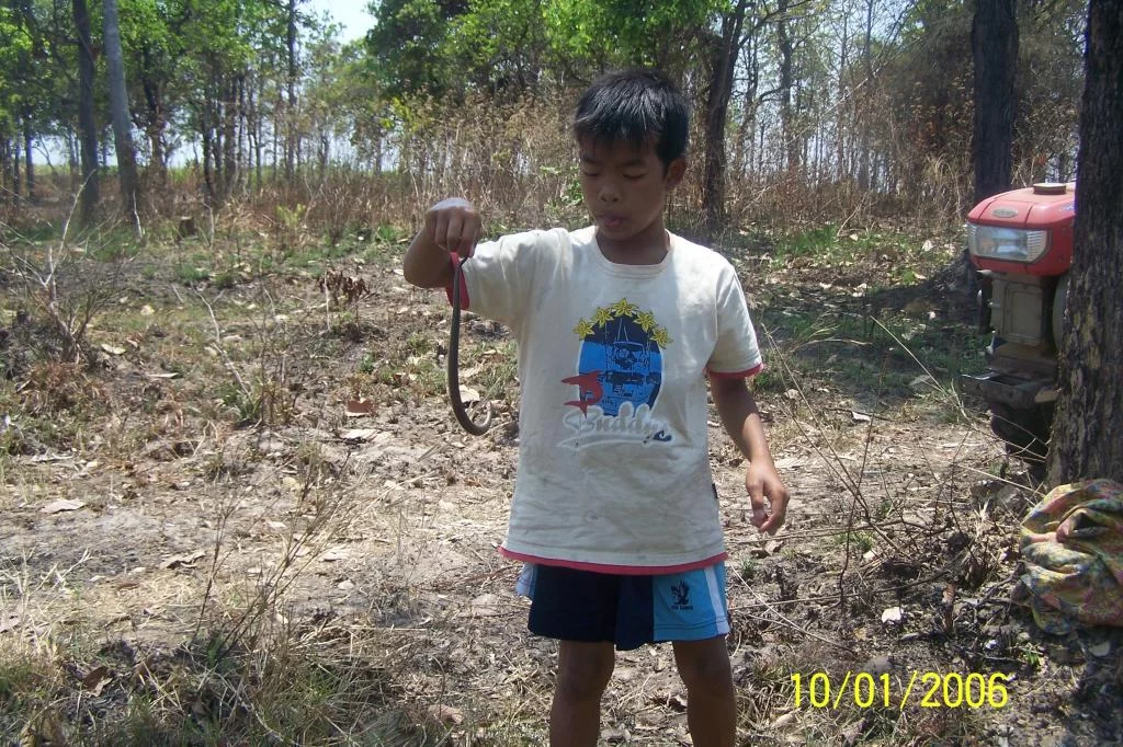 LostFile_JPG_168.webp