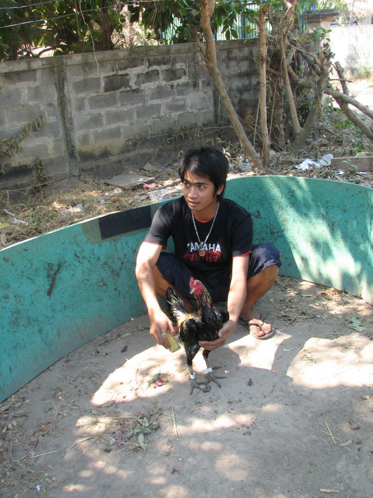 Luay 2 home 001.jpg