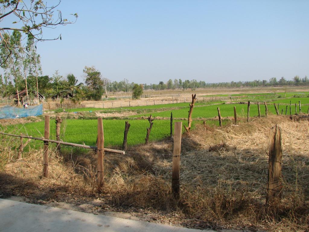 Luay MVC 040.jpg
