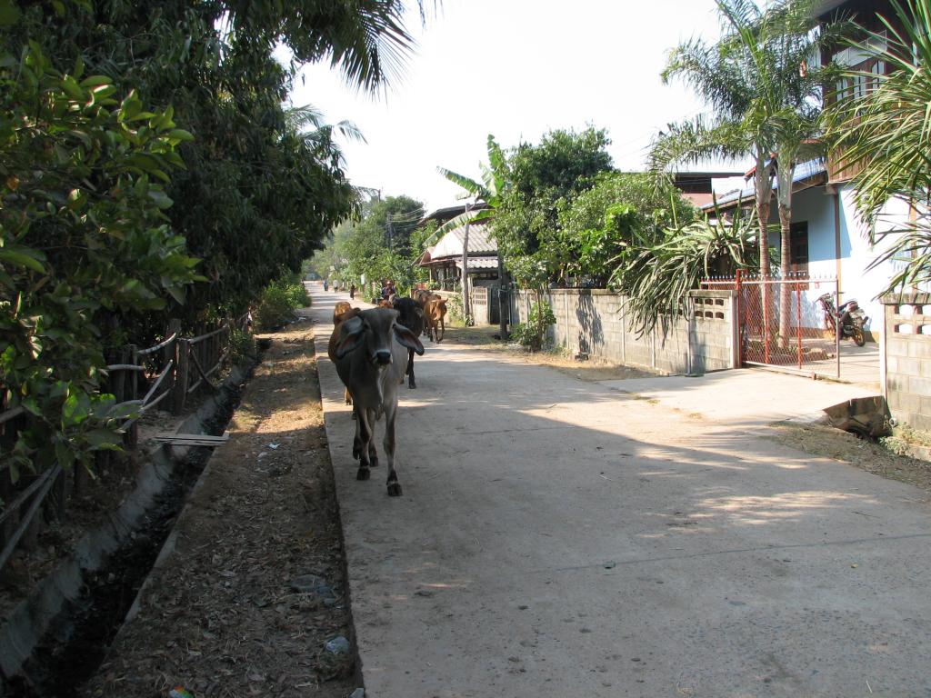 Luay MVC 042.jpg