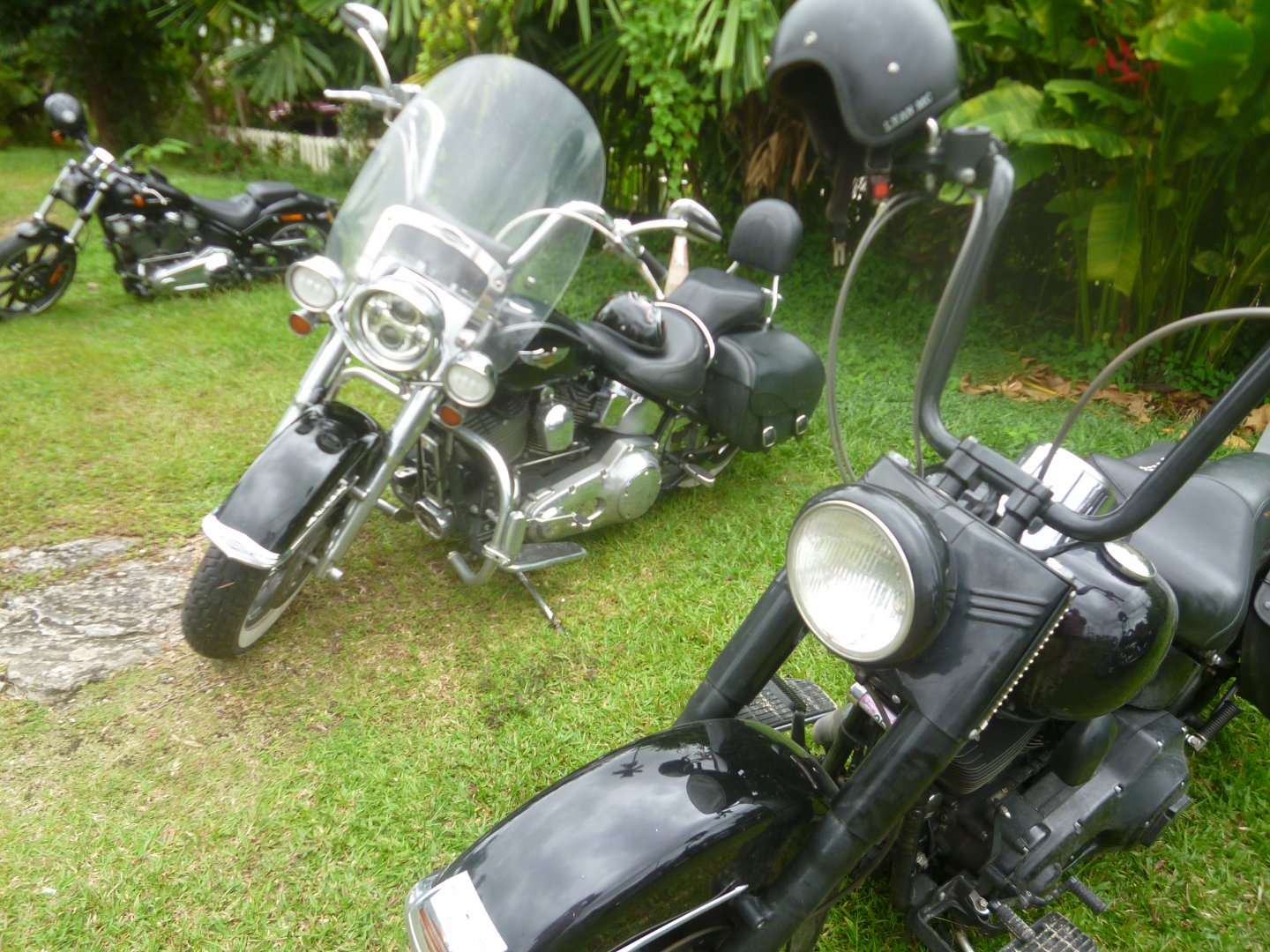 [m 005.JPG