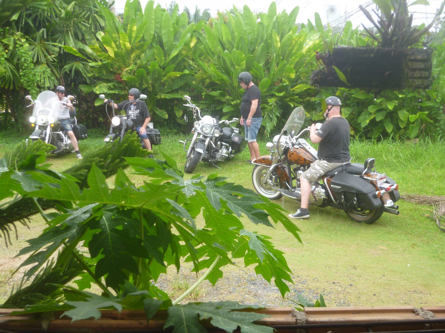 [m 010.JPG