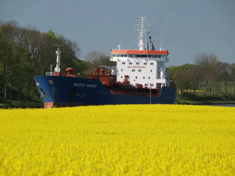 Maersk_naatali_in_der_Rapsbl_te_.webp