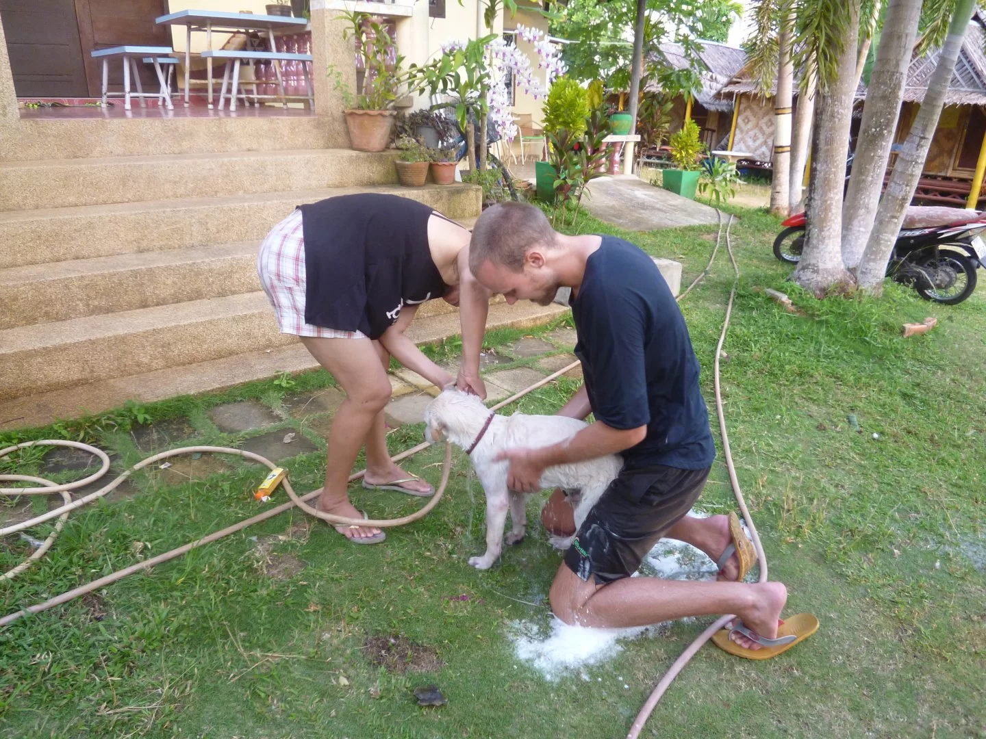 max (18).webp