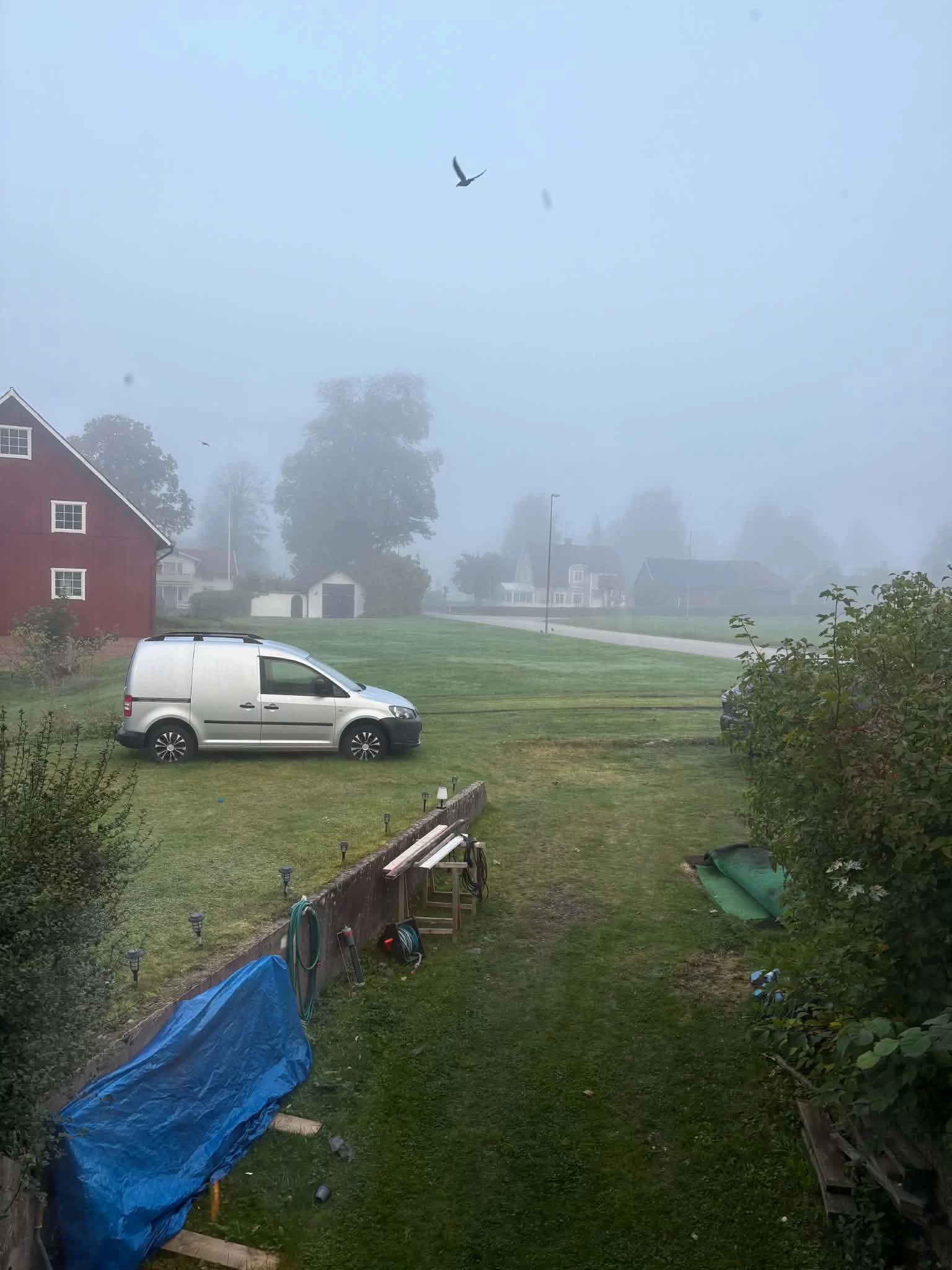 Messenger_creation_C457DDF6-700C-48F7-AAE3-86DF4C3DD985.webp