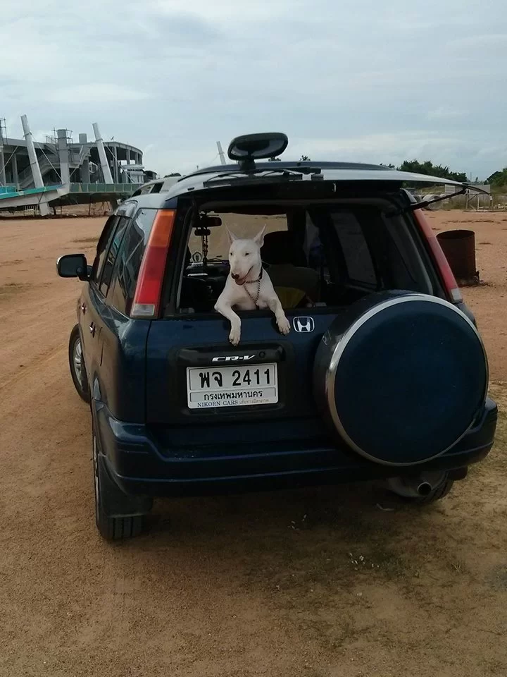 Min underbara Bulle flicka - kopia.webp