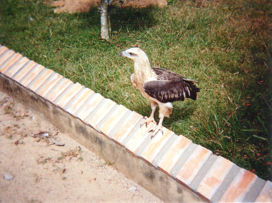 Mina Foton 23273.jpg