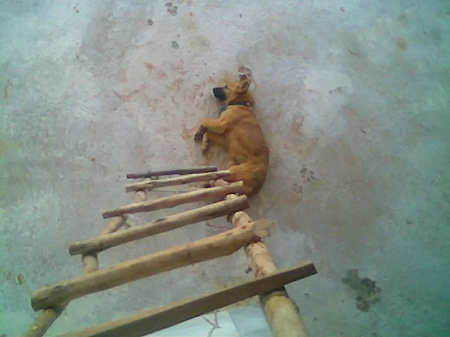 mms 038.webp