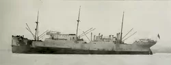 MS_Jutlandia_(1912).webp