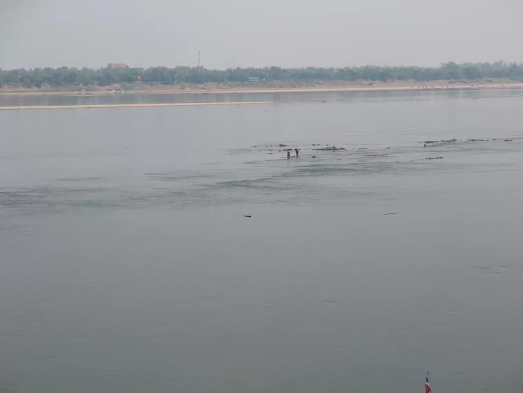mukda han.webp