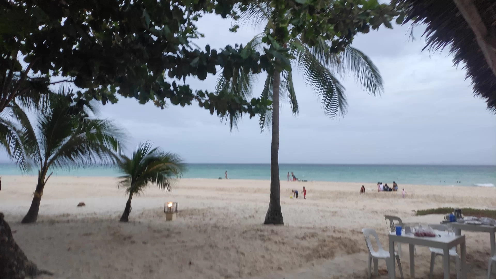 MVIMG_20230108_173054.webp