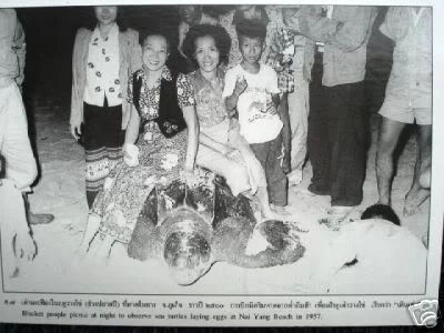 nai yang 1957.webp
