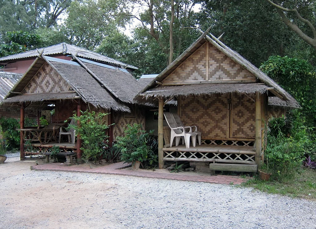 Nai yang (2).webp