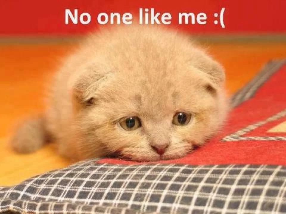 No one likes me.webp