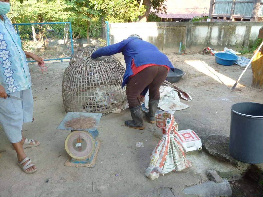 Nya avloppssystemet 010.webp