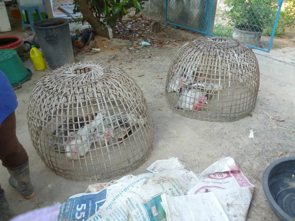 Nya avloppssystemet 012.webp