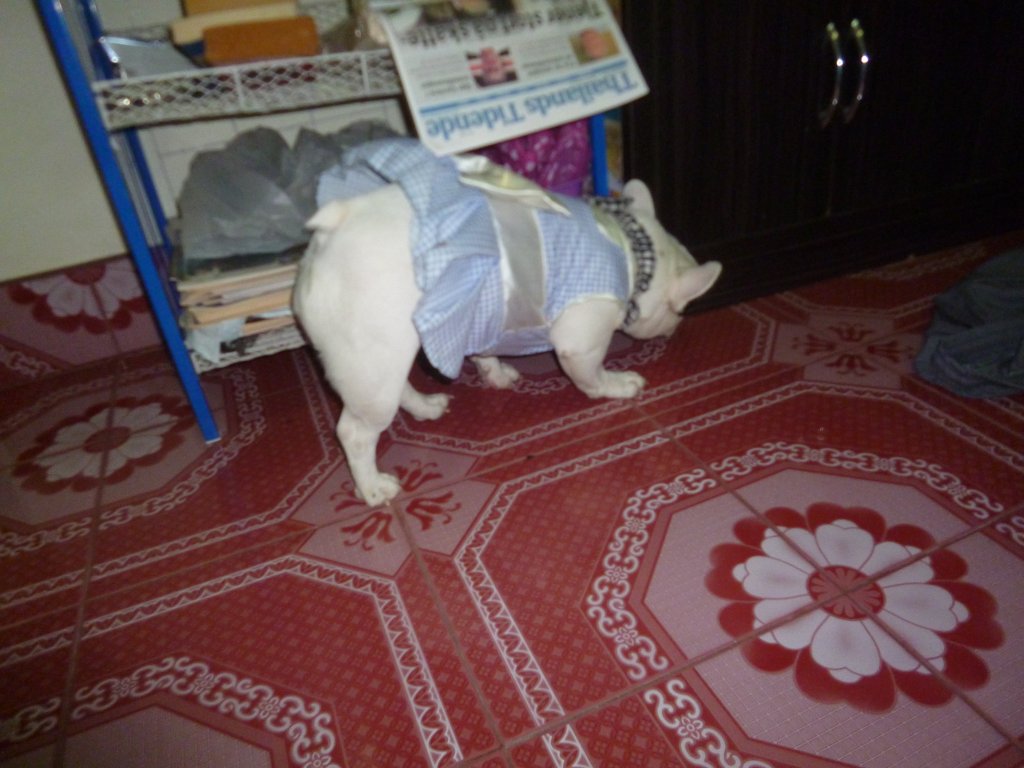 öl 002.JPG