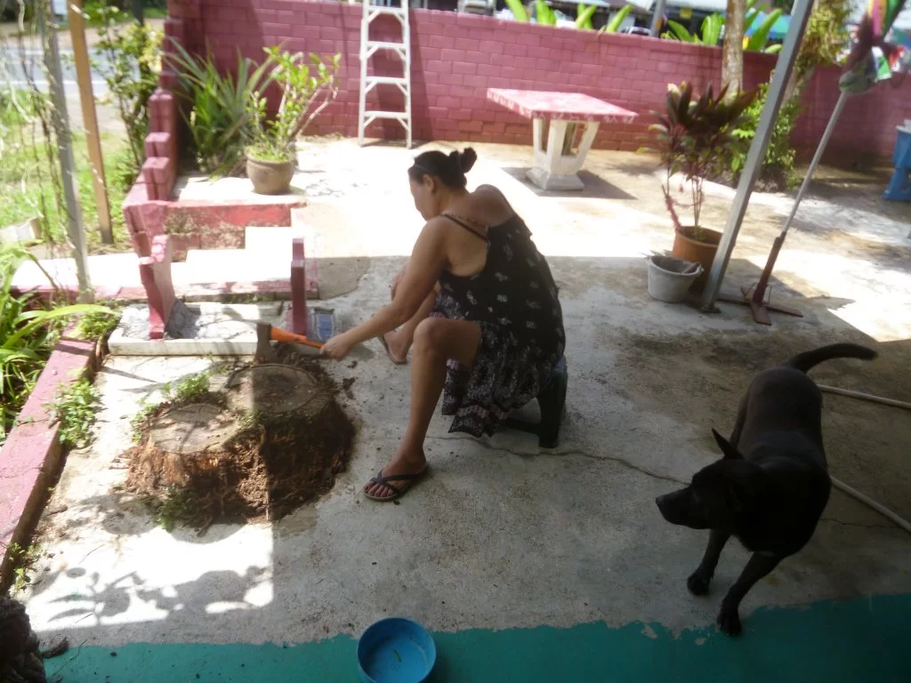 opopopopopoiu 004.webp