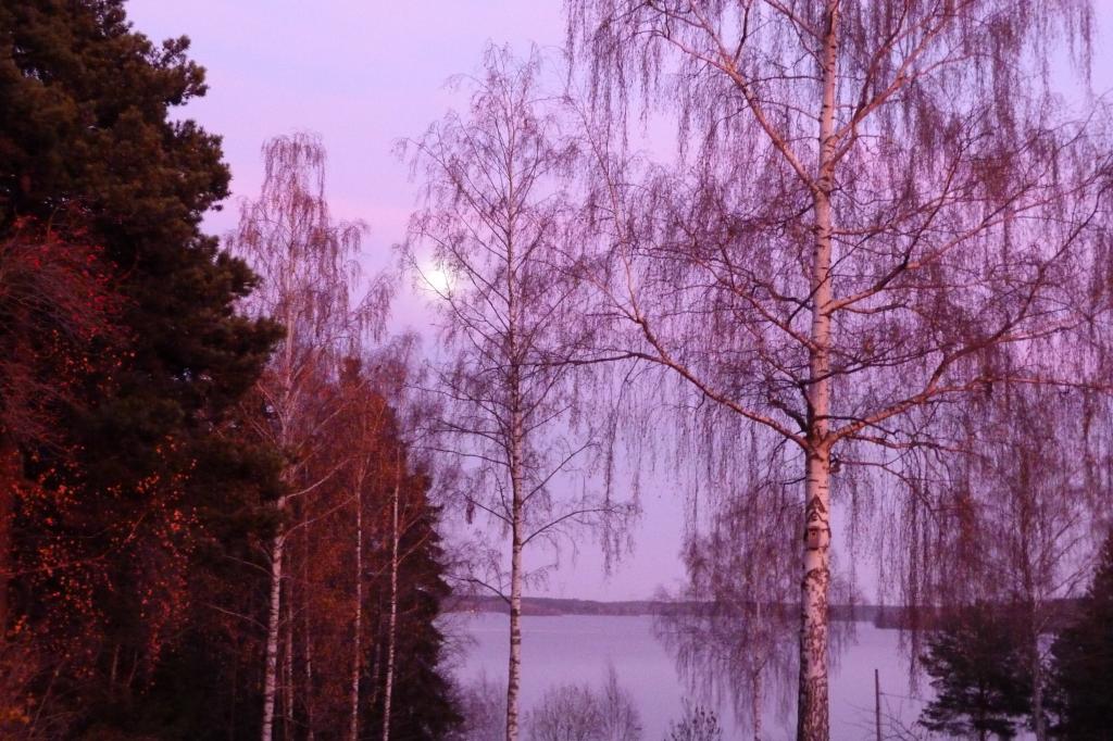 P1000090.jpg