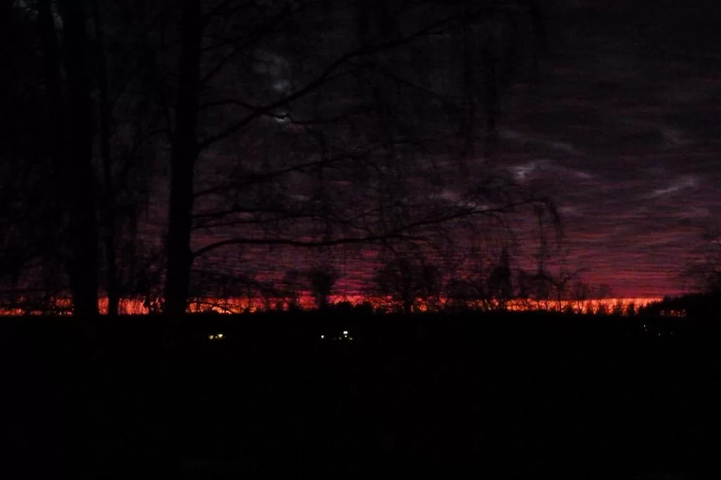 P1000111.webp