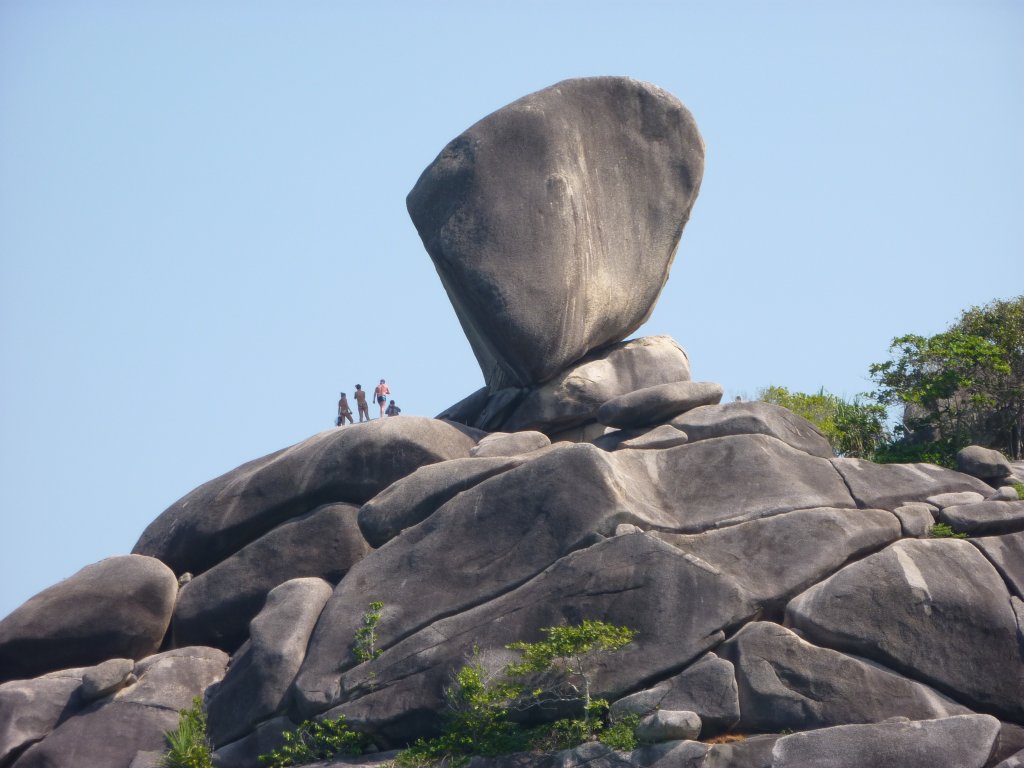 P1000140.JPG