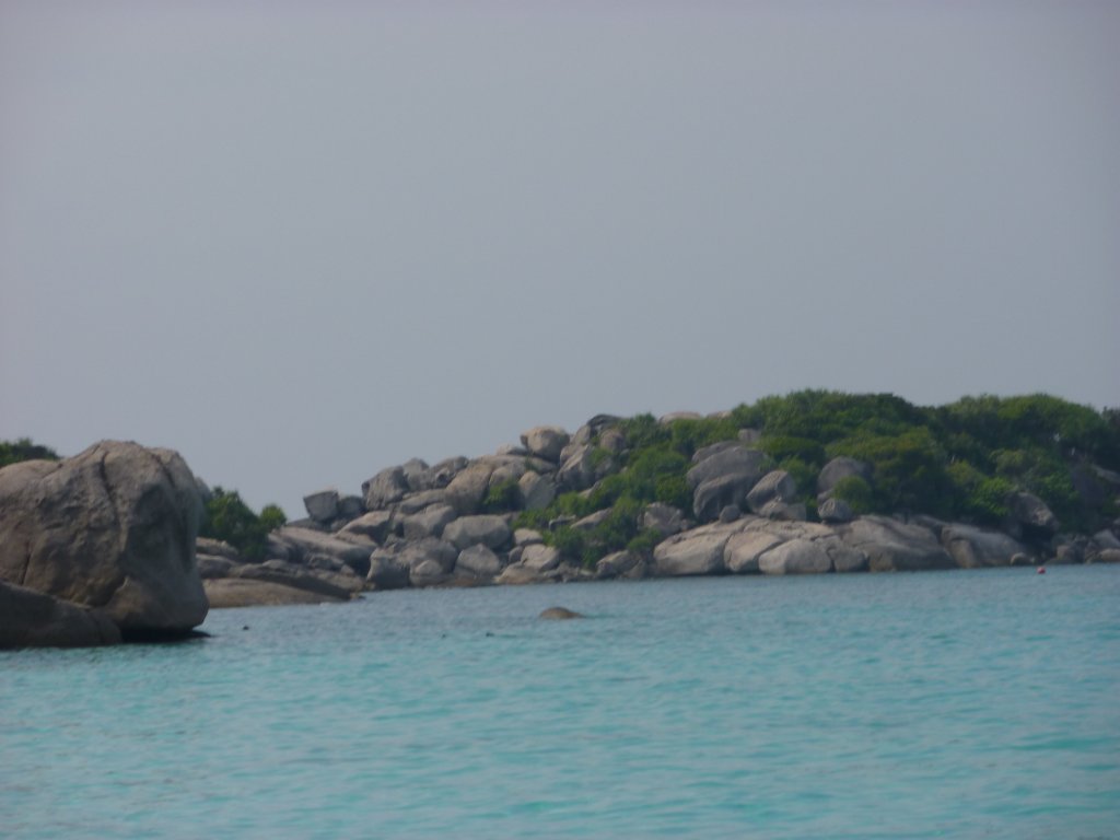 P1000167.JPG