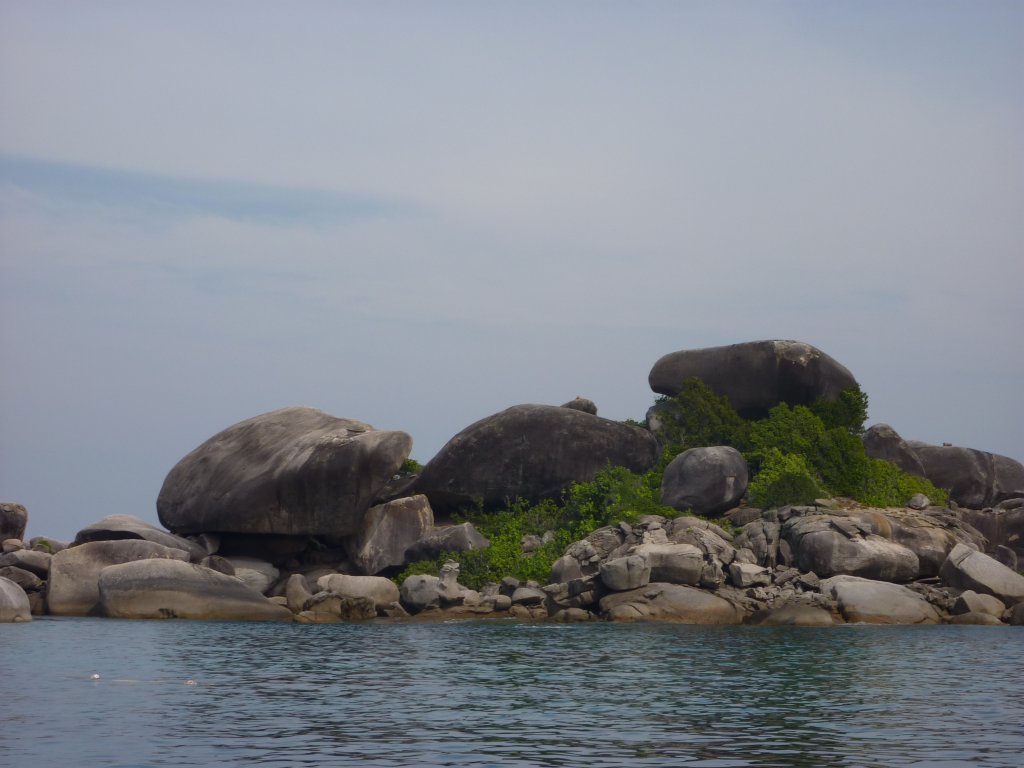 P1000170.JPG
