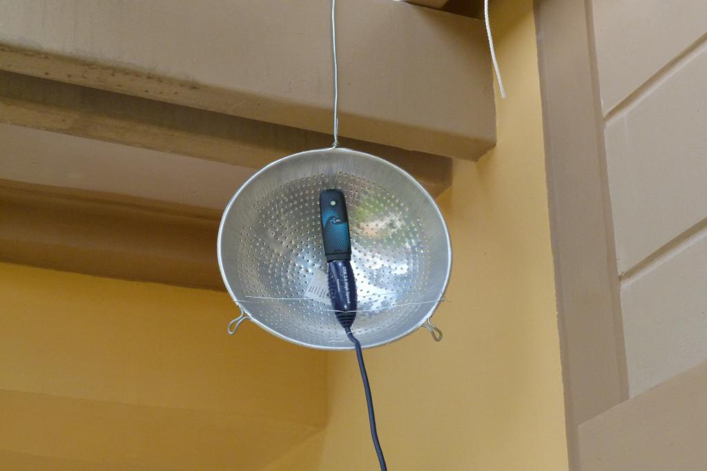 P1000184.jpg