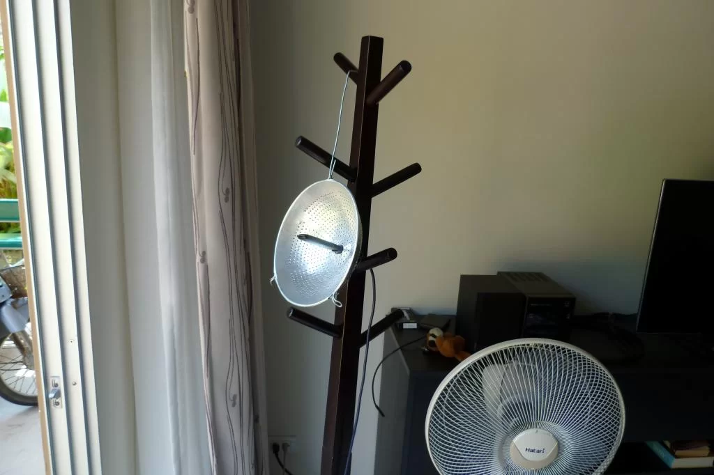 P1000208.webp