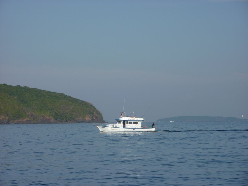 P1000253.JPG