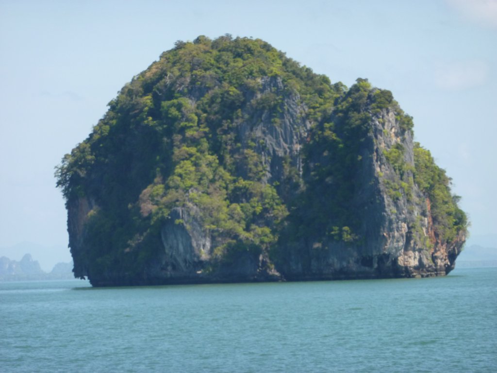 P1000365.JPG