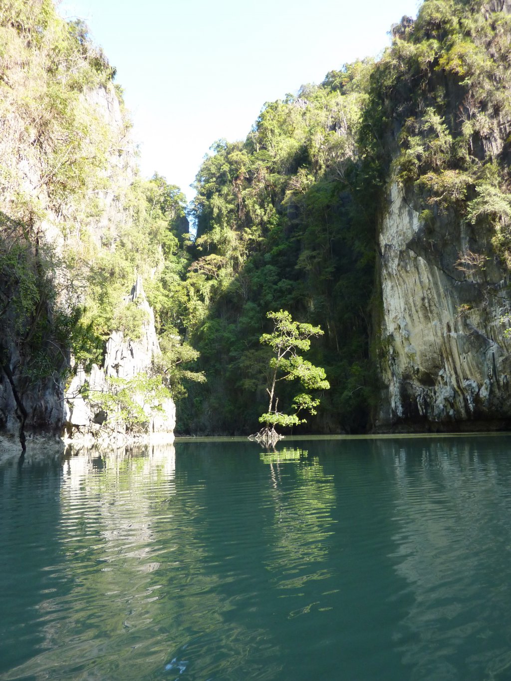 P1000537.JPG