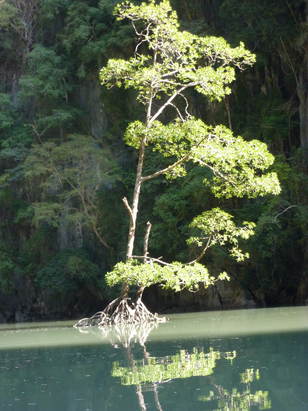 P1000539.JPG