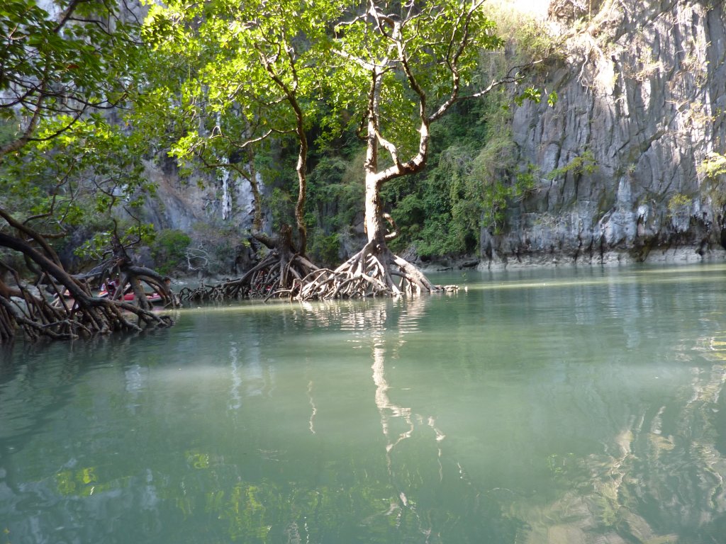 P1000553.JPG