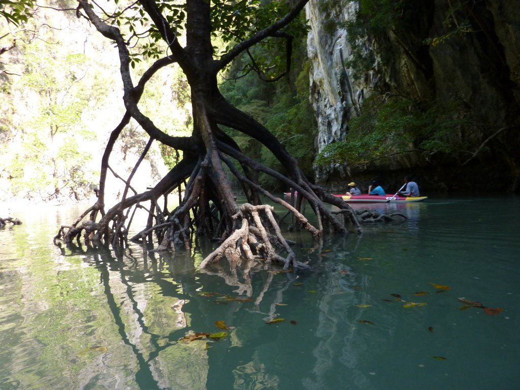 P1000554.JPG