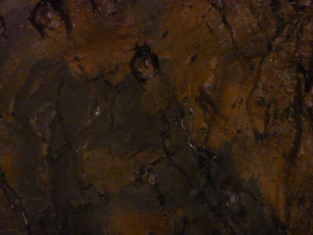 P1000566.JPG