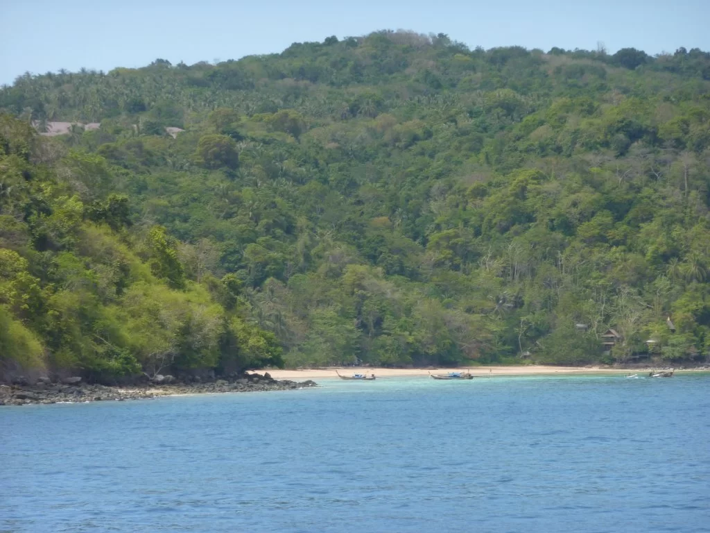 P1000610.webp