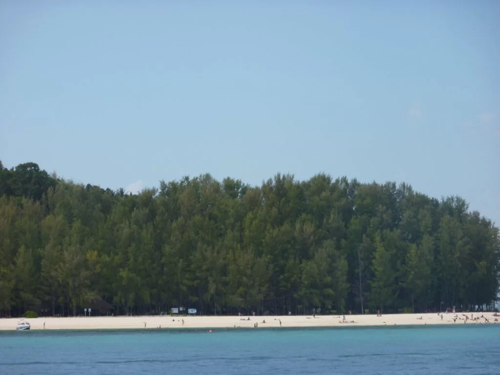 P1000620.webp