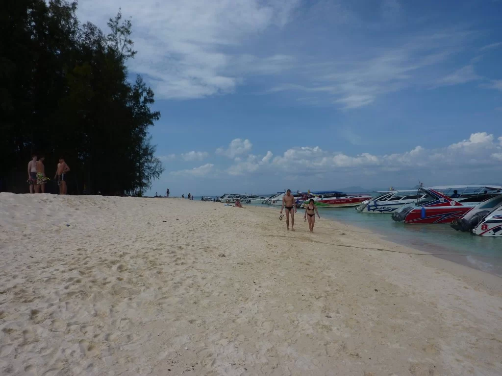 P1000621.webp