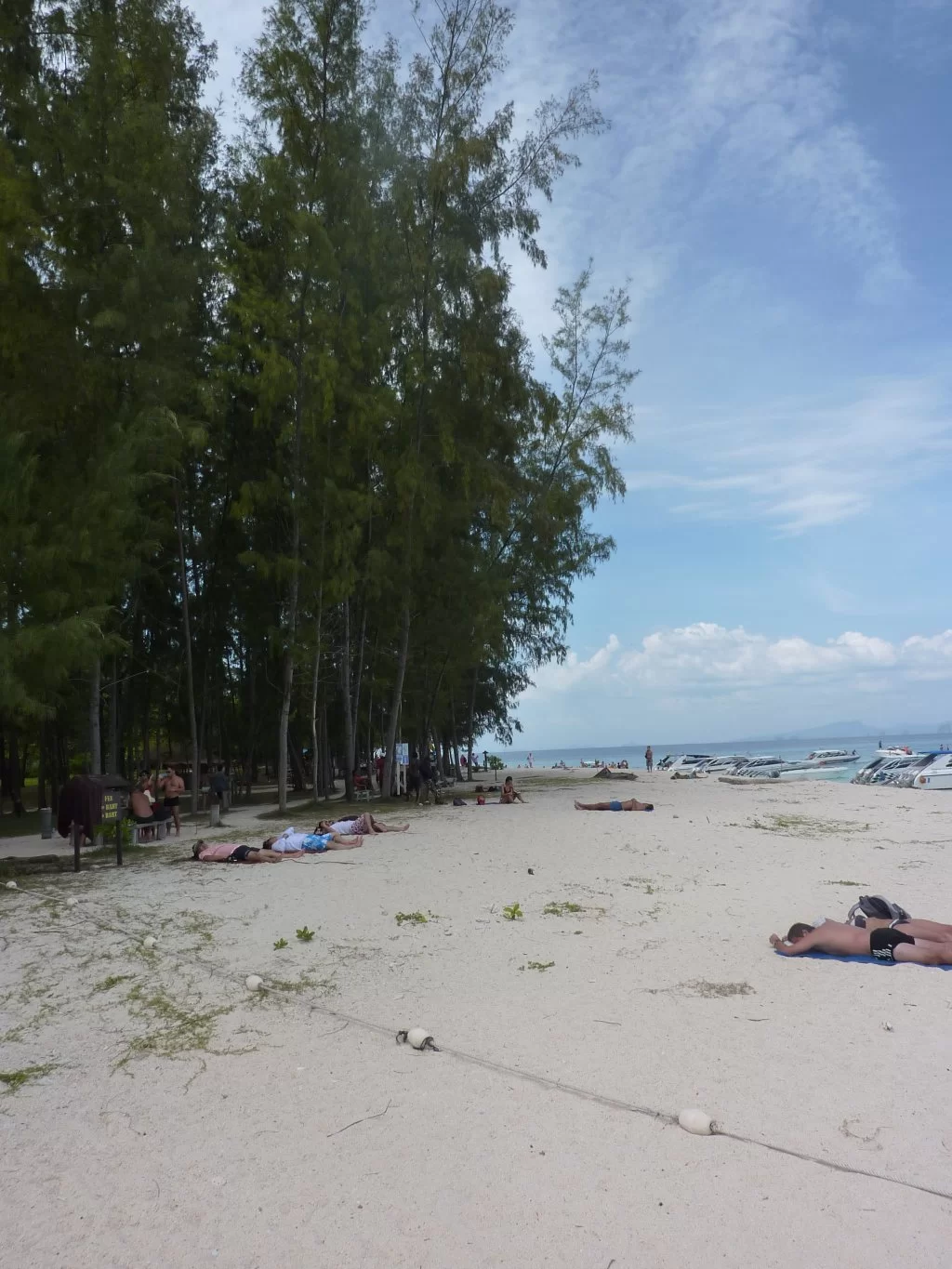 P1000622.webp