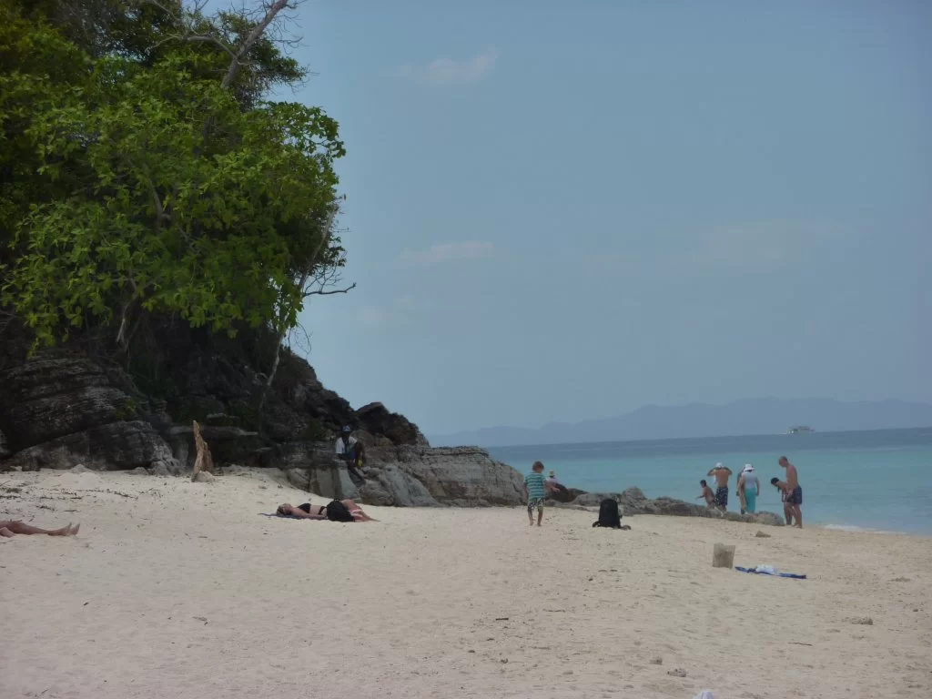 P1000629.webp